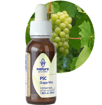 PSC Grape Vine - Ipothecary