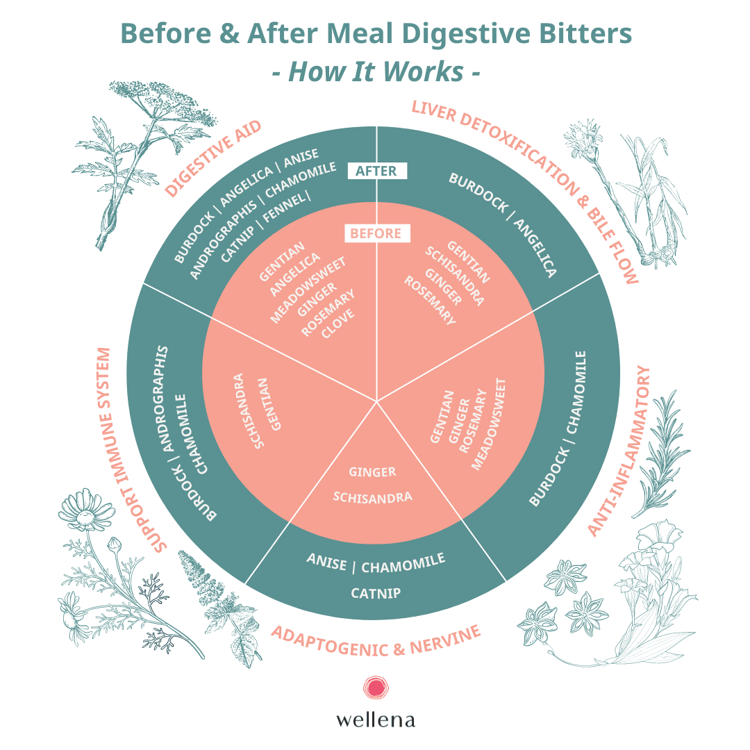 Liver & Digestive Bitters Kit