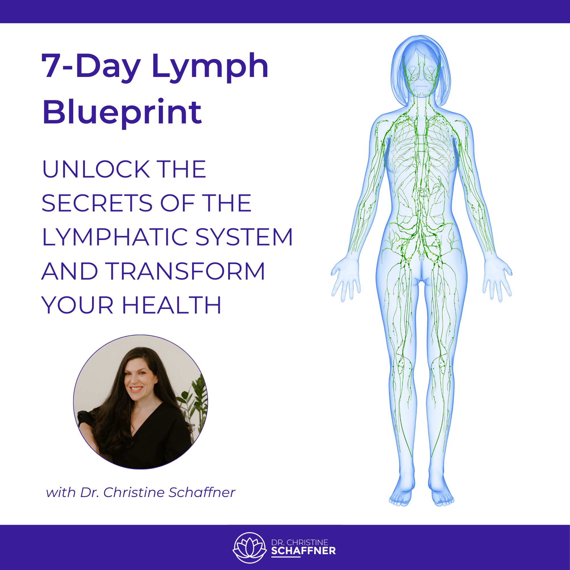 7-Day Lymph Blueprint - Ipothecary