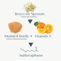 Brocco Power - Sulforaphane