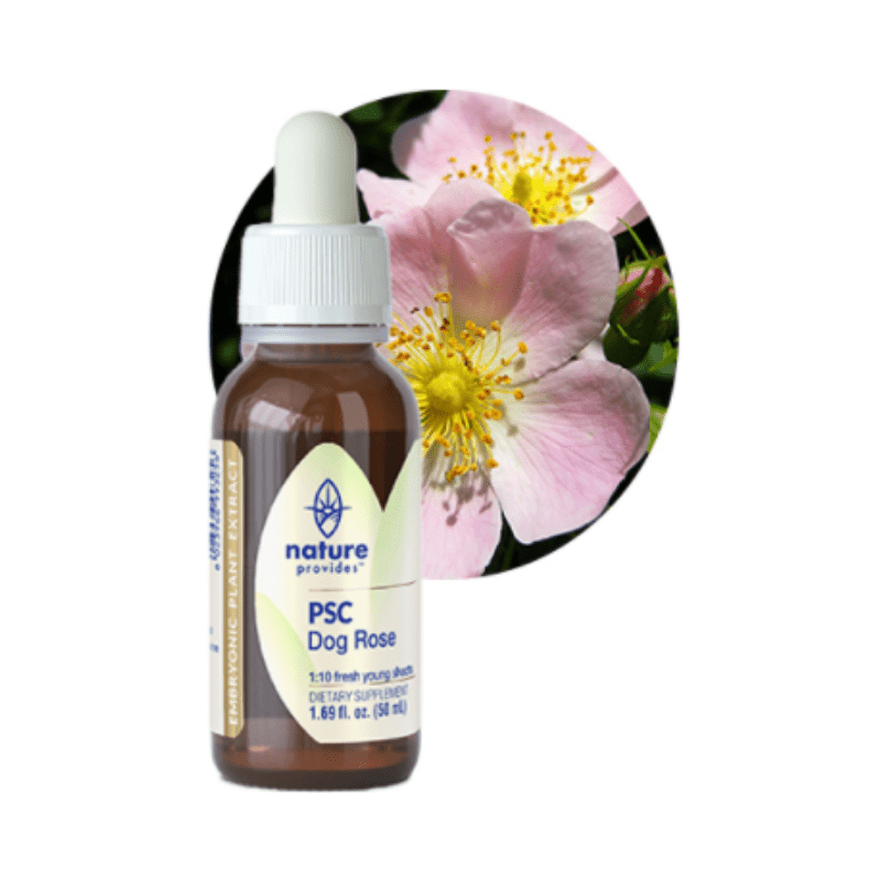 PSC Dog Rose - Ipothecary